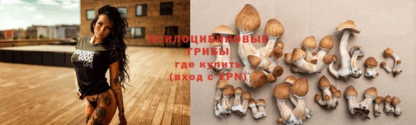 MDMA Богородицк