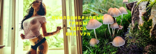 герыч Богородск